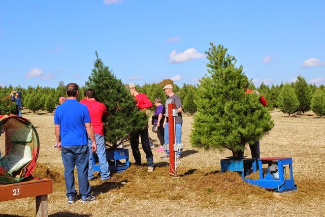 [IMG_4164%255B3%255D.jpg]