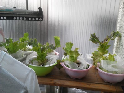 2013-12-08 16.49.32.jpg