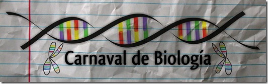 biocarnaval2 (1) biocarnaval2 (1)