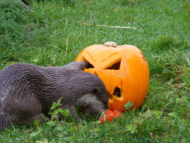 [DSCF7956%255B7%255D.jpg]