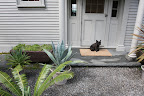 Sharkey, I'm tired out from all this heat.  I think it's time to go inside where it's cool.