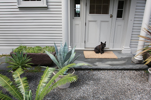 Sharkey, I'm tired out from all this heat.  I think it's time to go inside where it's cool.
