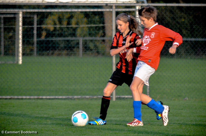 20131026 - WVV D4 - BELLINGWOLDE D1 - 011.jpg