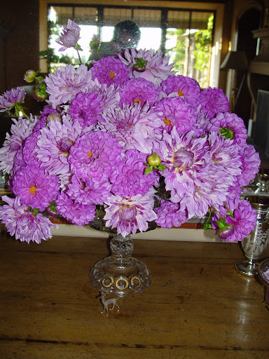 More dahlias.
