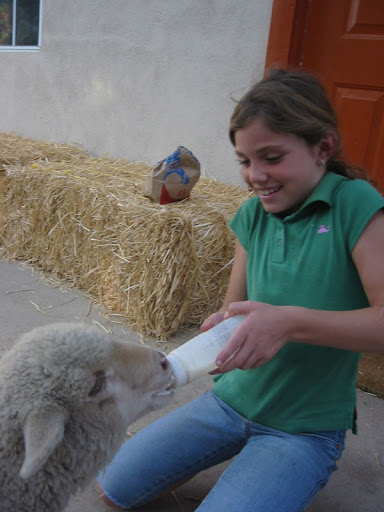They naturally struggle with the idea that the living beings they have fed and come to know would be sold and eaten. They naturally struggle with the idea that the living beings they have fed and come to know would be sold and eaten.