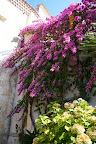 Ravello, Italy. Ravello, Italy.