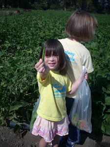 I picked a pea!