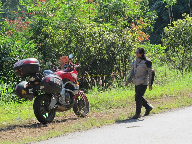 [IMG_41952.jpg]
