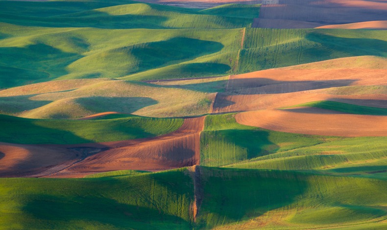 palouse-9 palouse-9