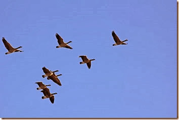 IMG_9148 IMG_9148