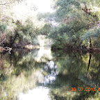 DSCN4480.JPG