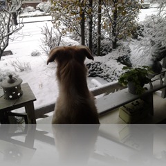 2012-12-07 08.32.48 2012-12-07 08.32.48