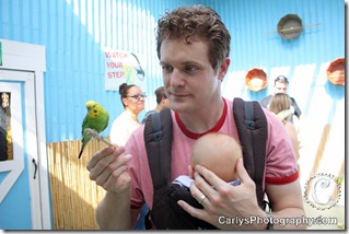 Gatorland (6 of 16)