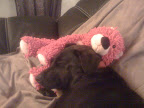 We demonstrate creative solutions to discomfort in the absence of a pillow and other such challenges...