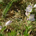 20110416_227