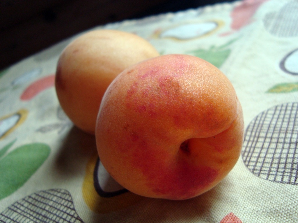 [apricots%255B4%255D.jpg]