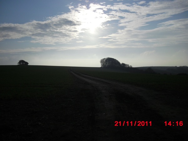 CIMG0596.JPG CIMG0596