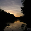 dsc03355.jpg