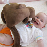 E and the monkey