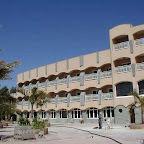 346.jpg