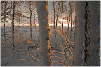 Teufelsmoor - Sonnenaufgang im November