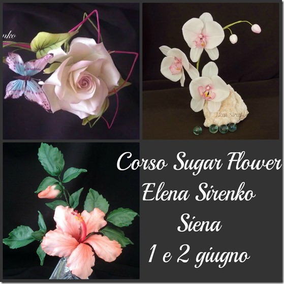 Corsi di Fiori con Elena Sirenko