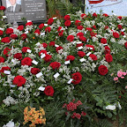 IMG_2900.JPG