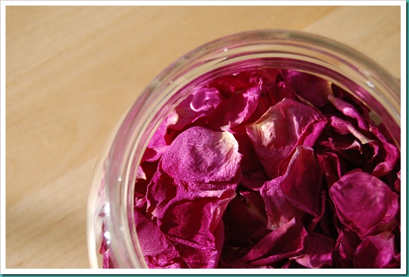 Dried Roses