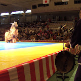 WKJapandag5