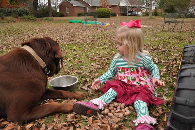 [feeding%2520gus%2520pecans%2520122011%2520%252823%2529%255B3%255D.jpg]