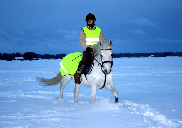 Lady och Camilla julafton 2010
