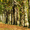 20081018cream0099.jpg
