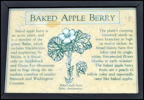 04w9 - Hike - Baked Apple Berry Sign