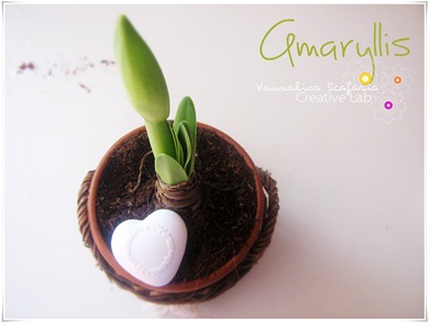 amaryllis_vannalisascafaria