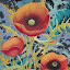 Poppies
