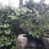 IMAG0013.jpg IMAG0013.jpg
