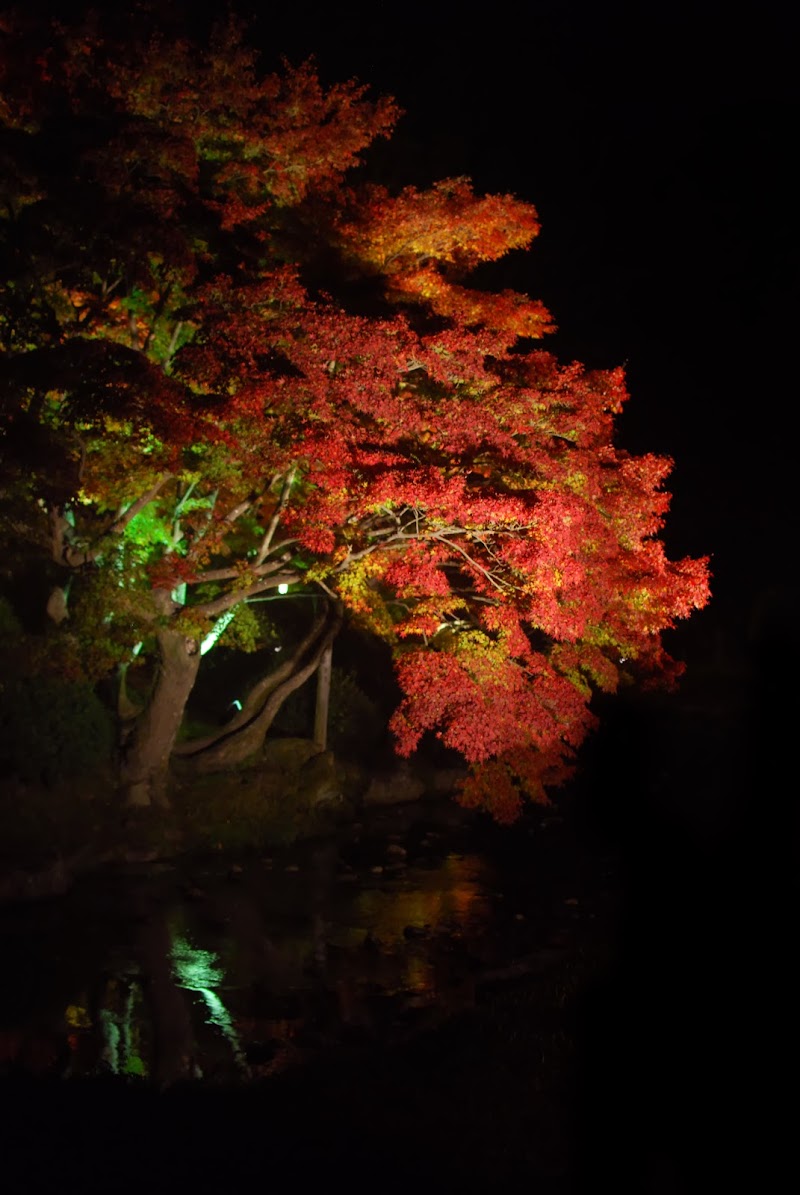 DSC_0376.JPG