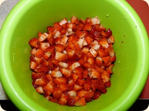 P1030803 P1030803