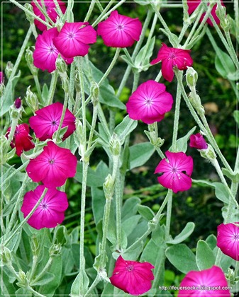 P1020834