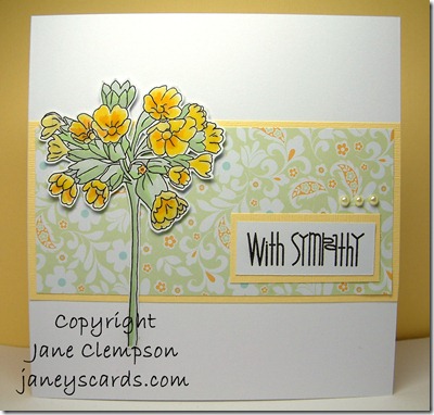 Cowslip Cowslip