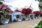 Фото 3 Dessole Seti Sharm Resort