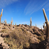 P6053743.JPG