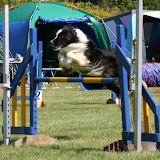 Blandet 2004