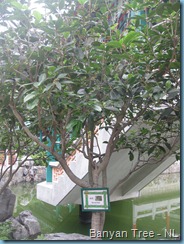 imgi_0098 (28)