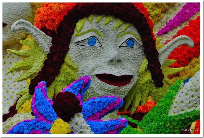 DSC_5637 DSC_5637
