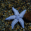 hokkaido_494.jpg