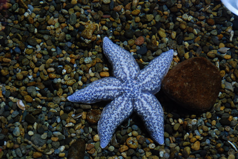 hokkaido_494.jpg