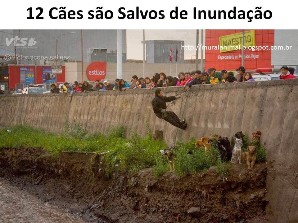 [Slide3%255B3%255D.jpg]