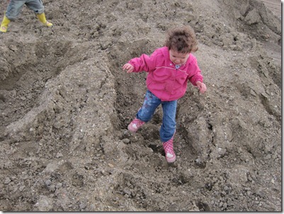 IMG_0665 IMG_0665