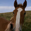 DSC00594.jpg